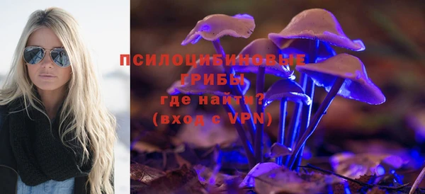 мдпв Билибино