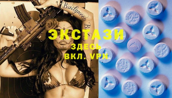 первитин Бикин