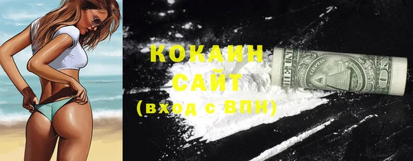 стафф Белая Холуница