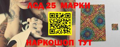 прущие крисы Камышлов