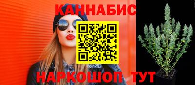 прущие крисы Камышлов
