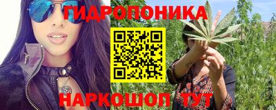 прущие крисы Камышлов
