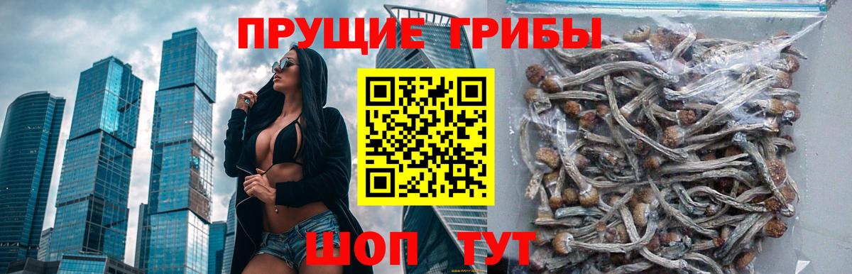 Галлюциногенные грибы Cubensis Топки