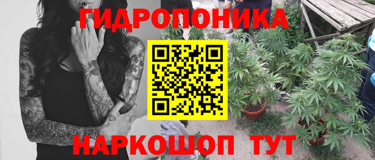 Шишки марихуана планчик  Вход с VPN  Бошки марихуана White Widow  Топки  МАРИХУАНА Bruce Banner  Бошки Шишки White Widow 